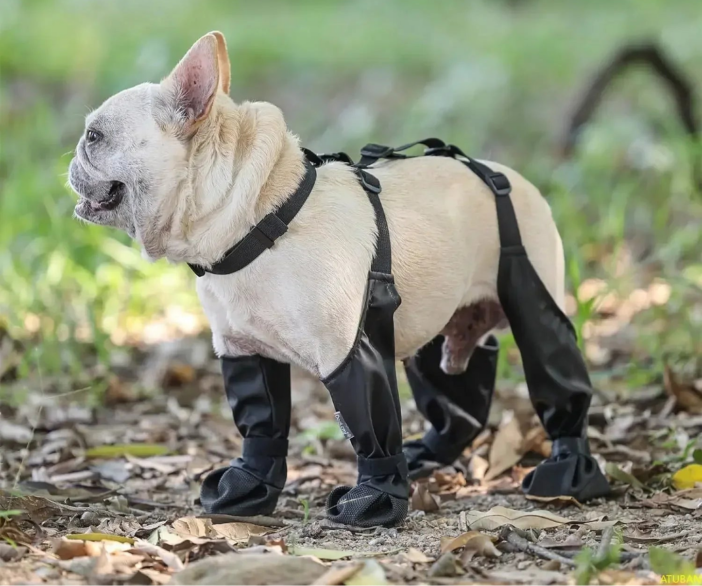 Bottes imperméables pour chien - Chaussures de protection antidérapantes pour la marche en extérieur