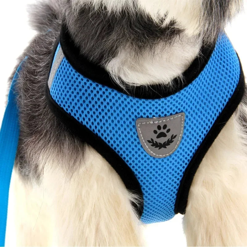 Harnais anti-évasion pour chat et chien avec laisse - Gilet en maille réglable pour la promenade