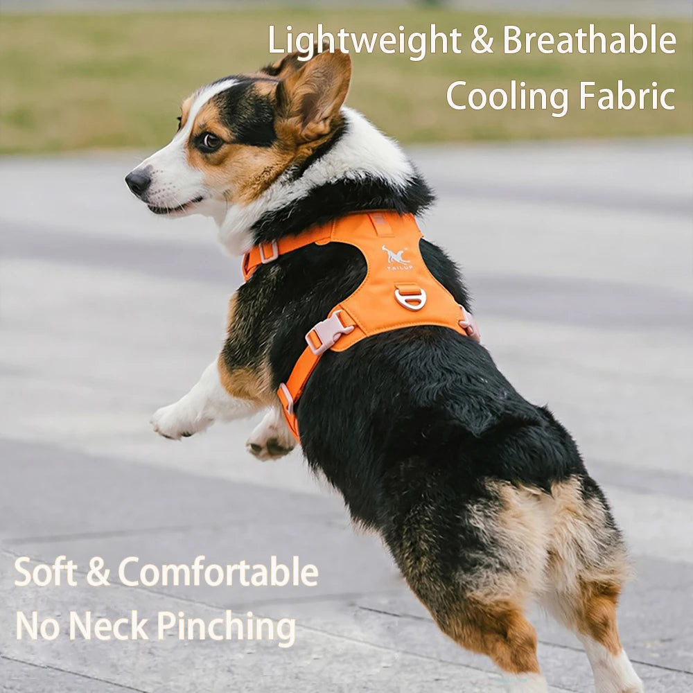 Lightweight Dog Harness & Leash Set Anti-Pull Escape-Proof Pet Walking Lead for Small Medium Large Dogs