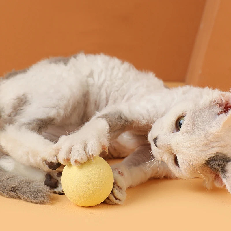 Sound Ball Cat Toy — Animal Noise Squeaky Ball for Cats & Kittens