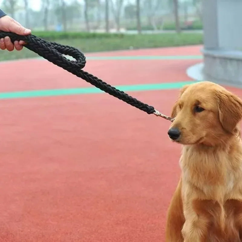 Ensemble laisse et collier pour chien avec gilet harnais