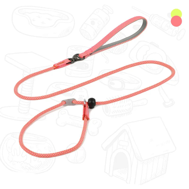 Laisse de dressage 2-en-1 avec collier étrangleur intégré pour petits chiens 150cm