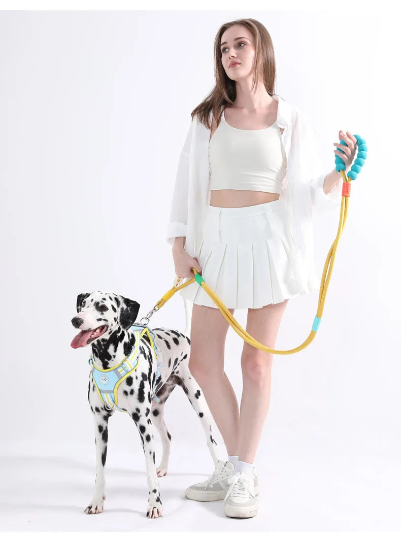 Anti-Slip Nylon Dog Lead — Lightweight & Wear-Resistant