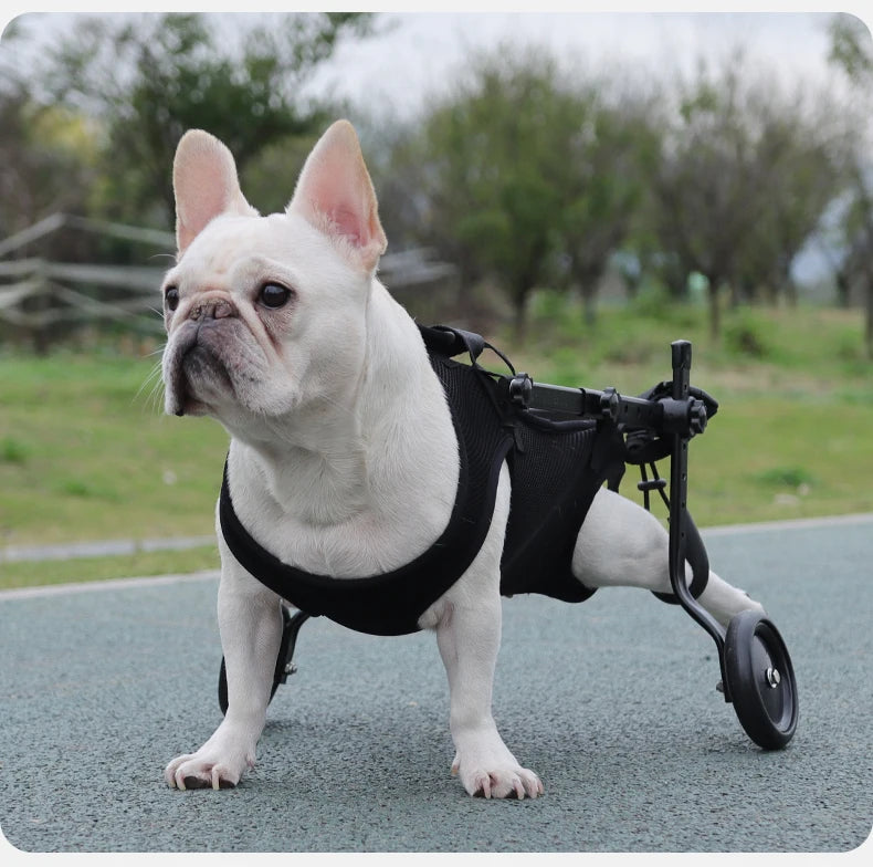 Dog Rehabilitation & Mobility Support Harness – Chest & Back Lifting Aid for Disabled & Recovering Dogs