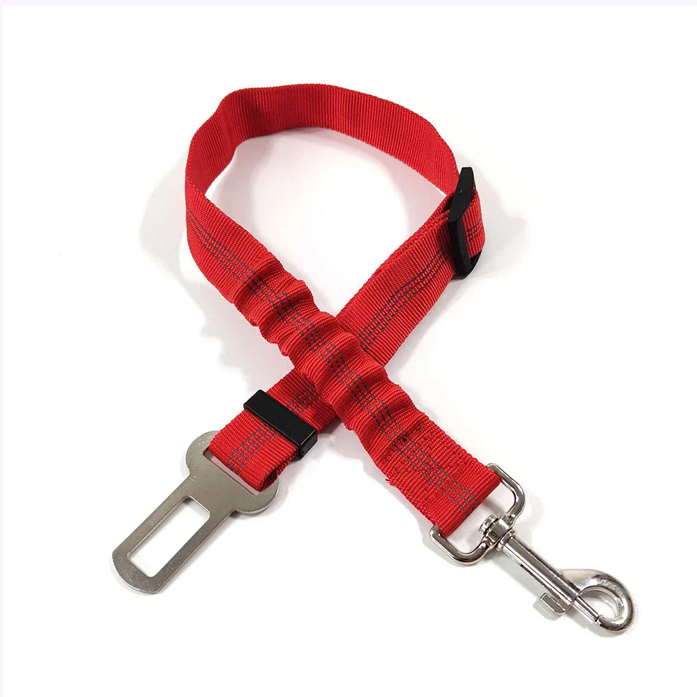 Ceinture de sécurité rétractable pour chien avec bande réfléchissante