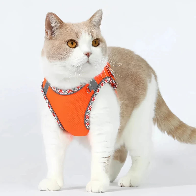 Ensemble Harnais et Laisse Universel pour Animaux de Compagnie - Gilet Réfléchissant Anti-Évasion pour Chiens et Chats