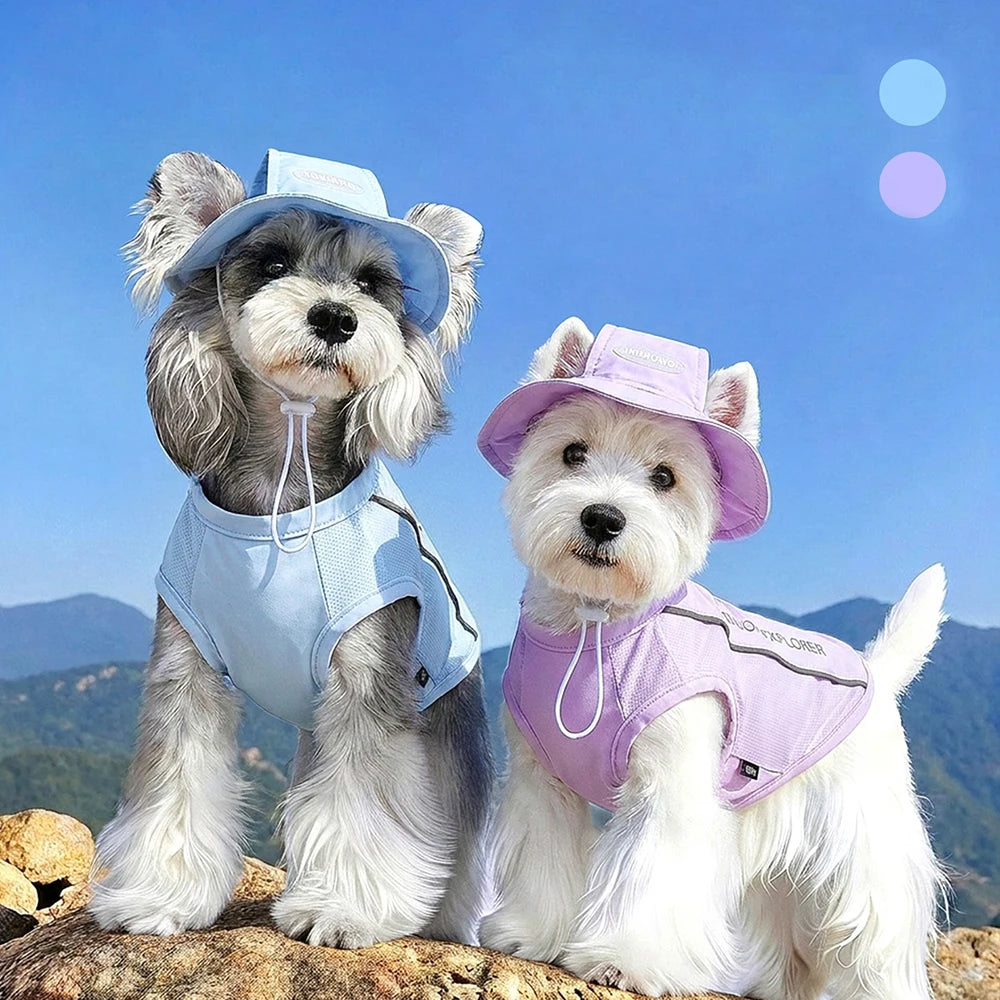 Summer Cooling Vest & Cap Set for Dogs & Cats