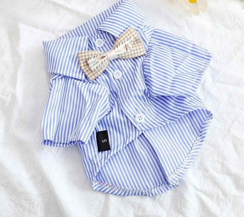 Vêtements d'été pour chiots - Chemise et chemisier pour chien, vêtements de printemps pour animaux de compagnie