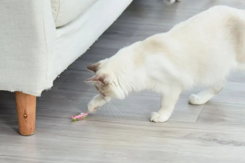Electronic Cat Bug & Mouse Toys