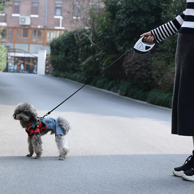 LED Retractable Dog Leash with Light