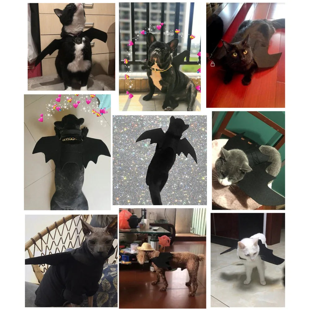 Halloween Bat Wings Pet Costume for Dogs and Cats