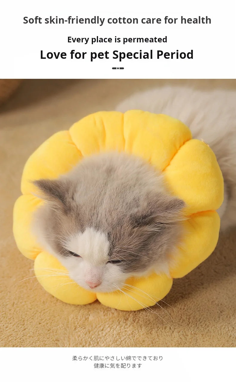 Collerette de protection tournesol – Cône élisabéthain en coton doux pour chats et chiens