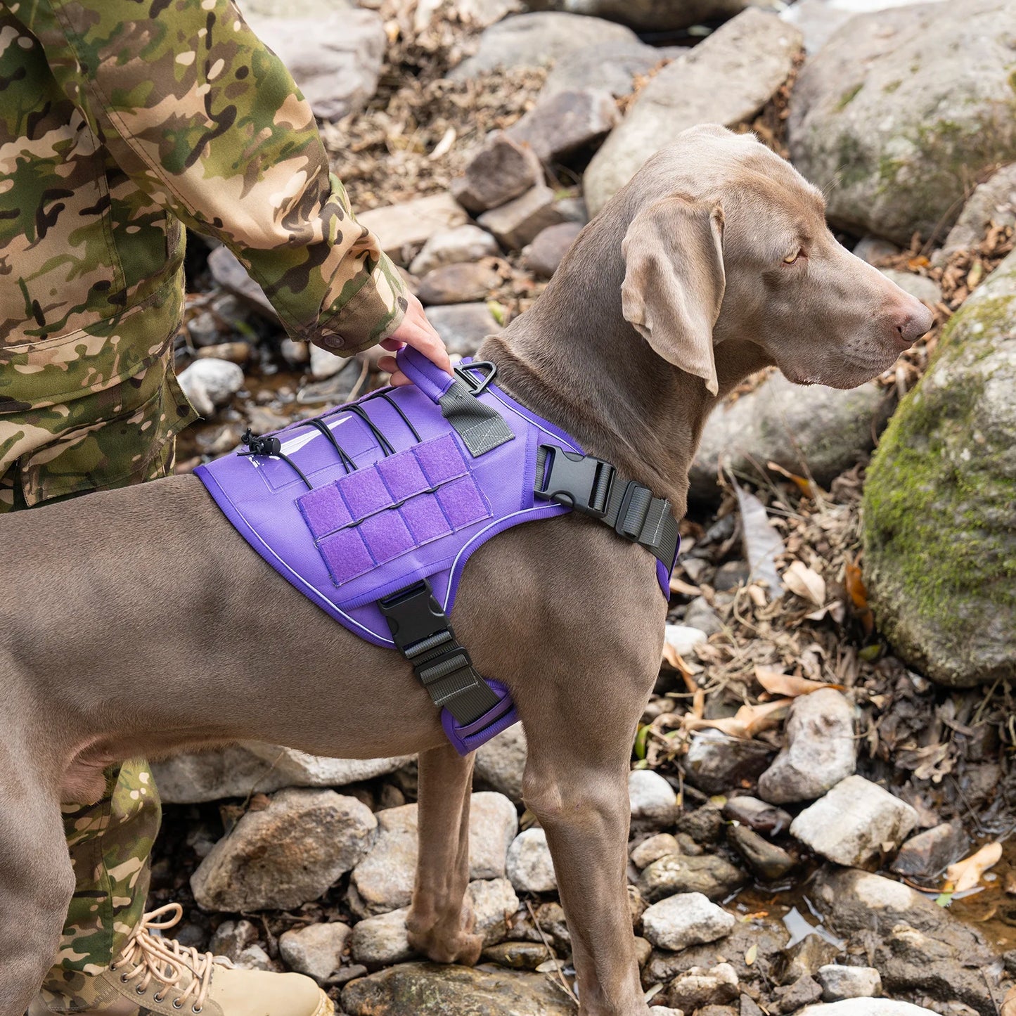 Tactical No-Pull Dog Harness — Reflective Adjustable Working & Training Vest for Small, Medium & Large Dogs