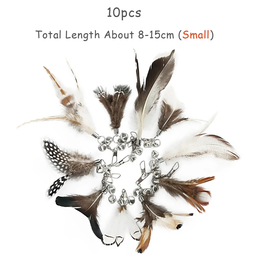 Feather Cat Teaser Toy Replacement Pack (10pcs)