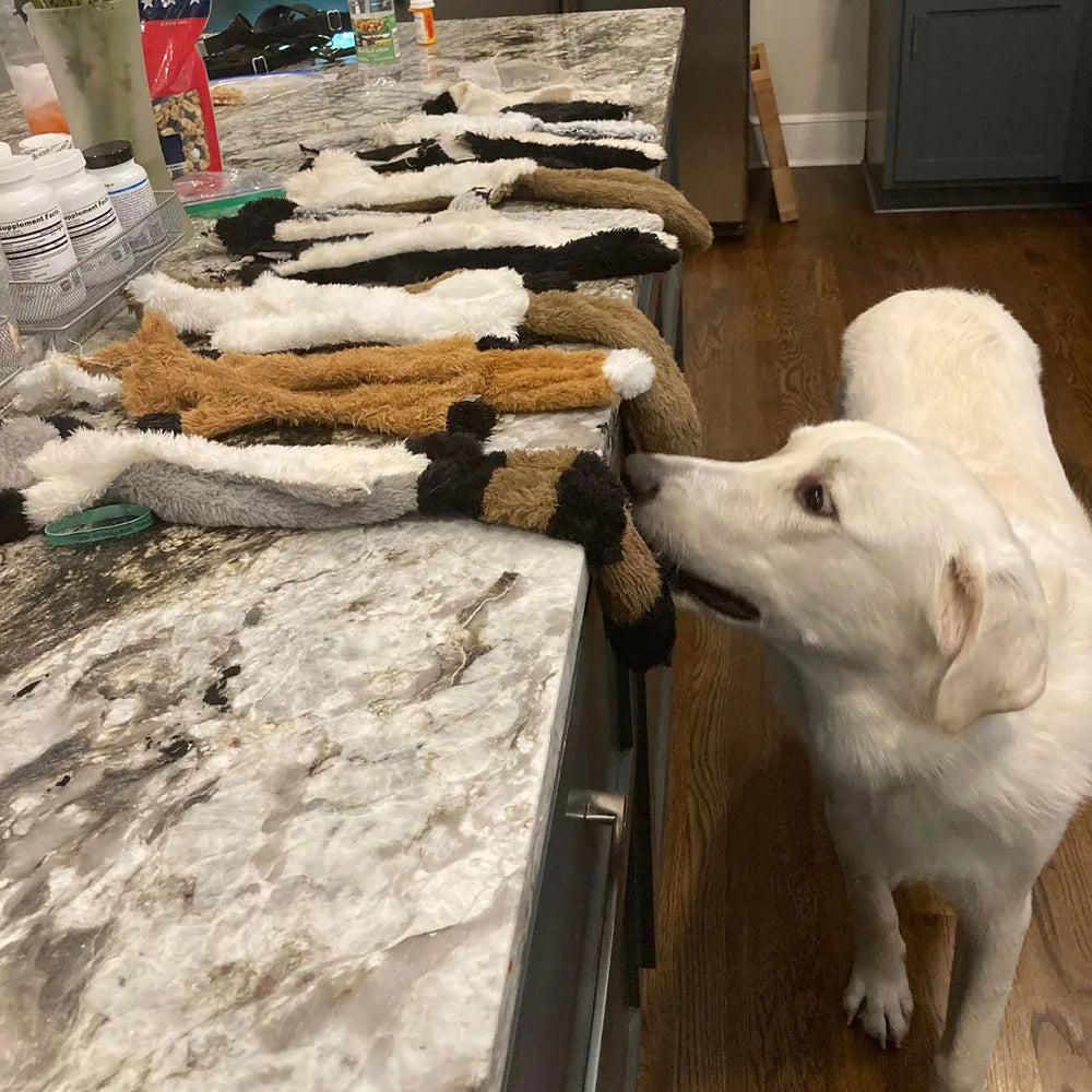 Jouet pour chien en peluche crocodile couineur avec papier froissé