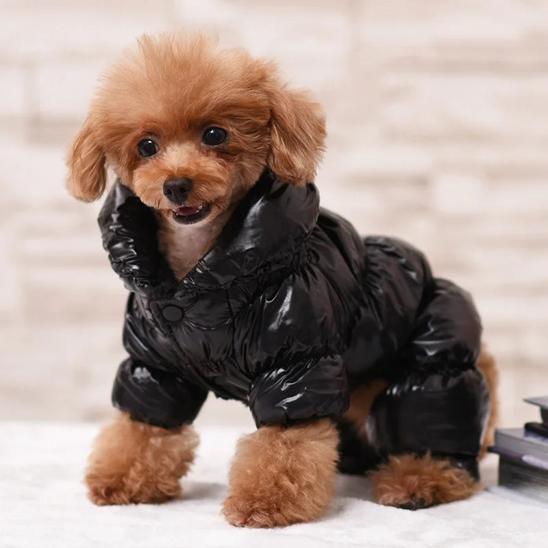 Winter Down Jumpsuit for Small Dogs | Padded All-in-One Dog Coat