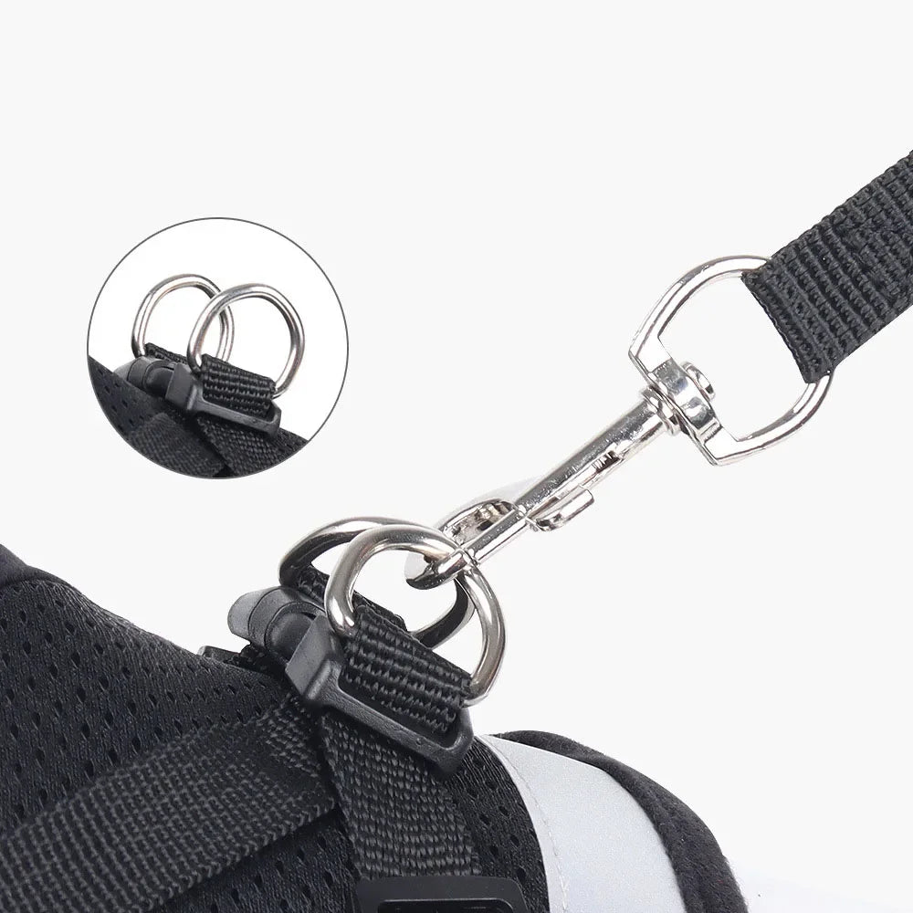Ensemble harnais et laisse anti-évasion pour animaux de compagnie – Gilet en maille réfléchissante pour chats et petits chiens