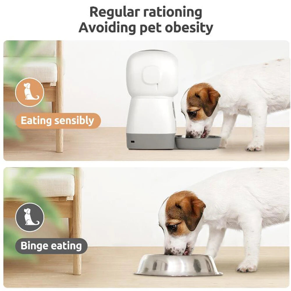 3.5L Smart WiFi Automatic Pet Feeder with Voice Recorder & Slow Feed Swirl Bowl