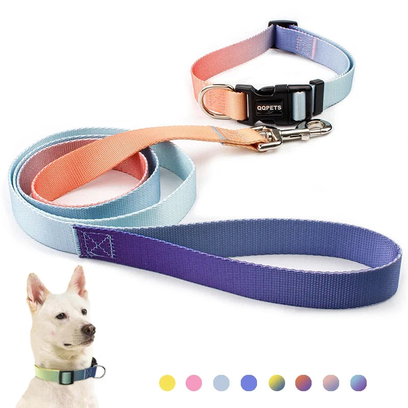 Ensemble laisse et collier réglables en nylon pour chiens - Pour petits et grands chiens