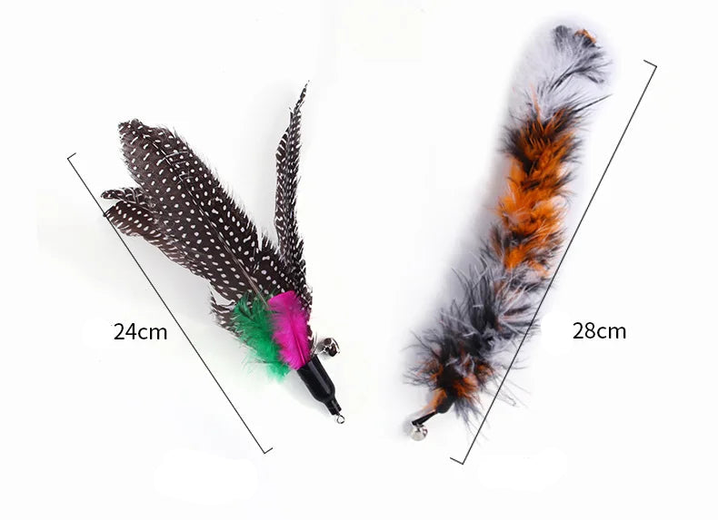 Ensemble de jouets rétractables pour chat