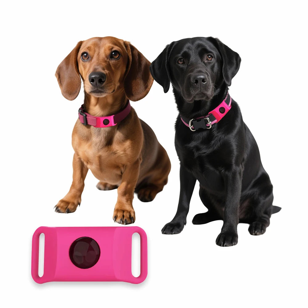 Natural Essential Oil Flea & Tick Collar Pendant – Chemical-Free Protection for Dogs & Cats