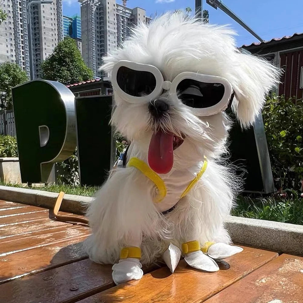 UV & Windproof Sunglasses Goggles for Small Dogs & Cats