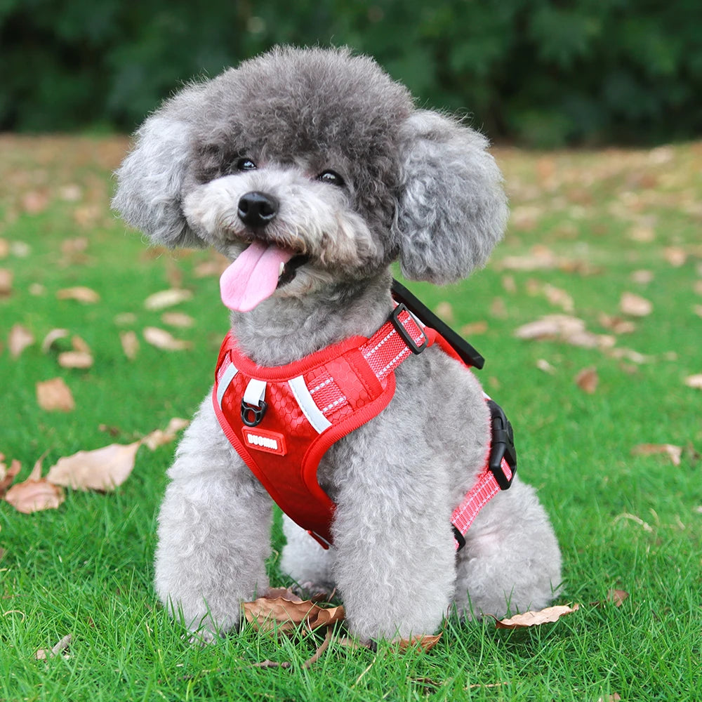 Reflective No-Pull Dog Harness Vest with AirTag Holder