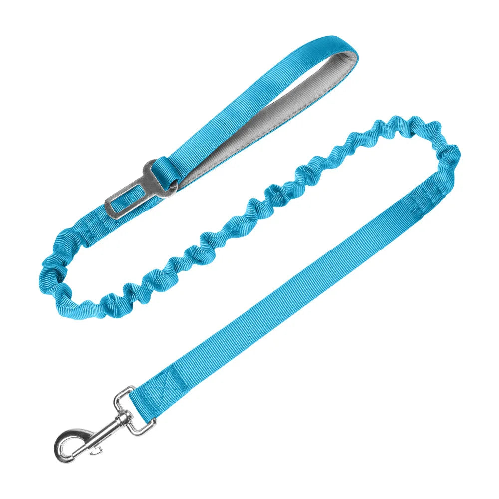Heavy-Duty Bungee No-Pull Training Leash for Large Dogs