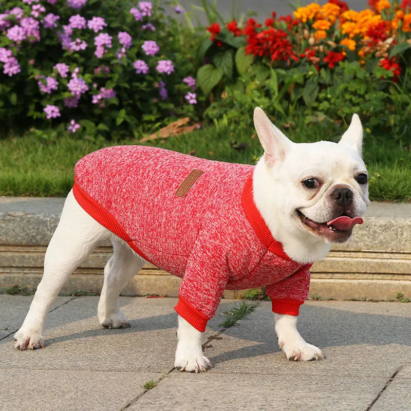 Winter Pet Jacket - Warm Coat for Dogs and Cats