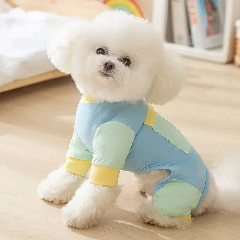 Vêtements d'été pour chiens - Respirants et élégants
