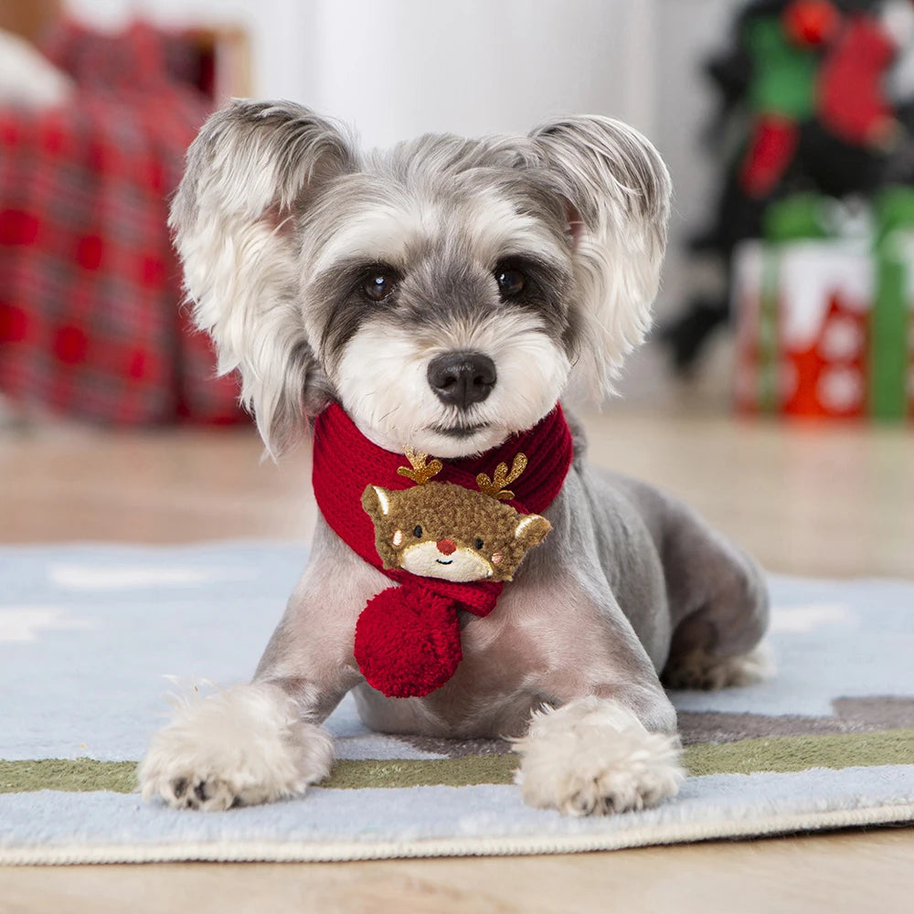 Printed Neck Scarf for Cats & Small Dogs