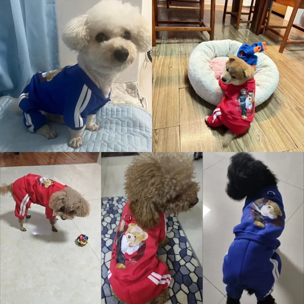 Combinaison à capuche en polaire pour chien | Sweat-shirt chaud automne-hiver pour chiots, chats et petits chiens