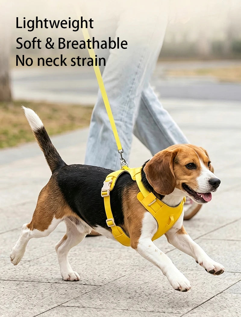 Lightweight Dog Harness & Leash Set Anti-Pull Escape-Proof Pet Walking Lead for Small Medium Large Dogs