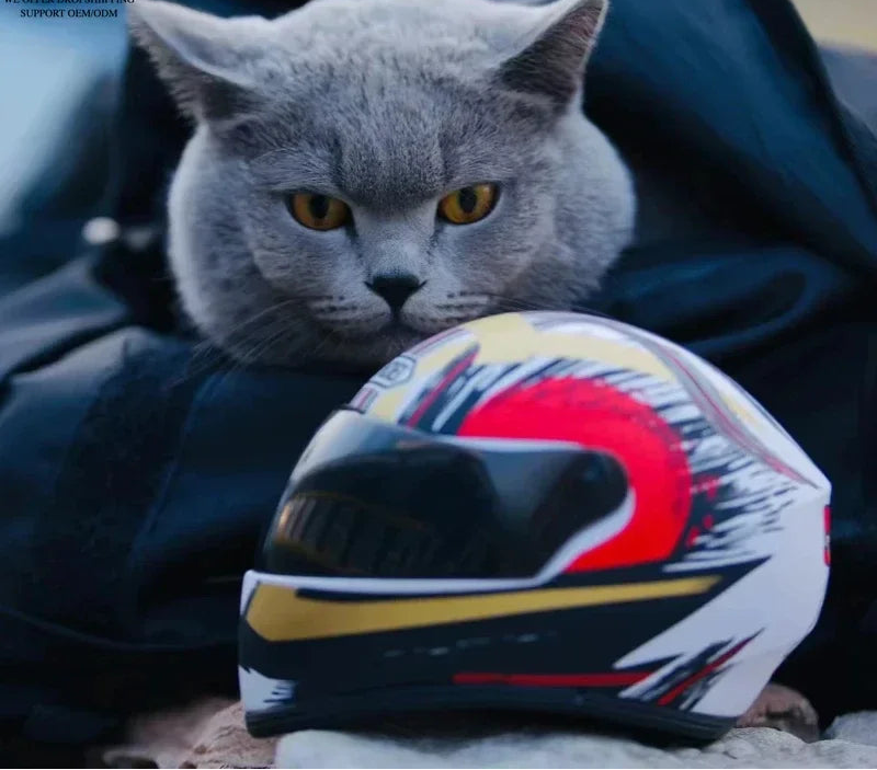Full Face Pet Motorcycle Helmet for Cats & Small Dogs