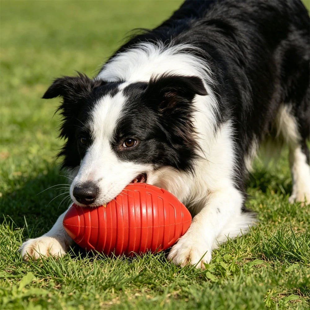 Indestructible TPR Dog Chew Toy for Aggressive Chewers