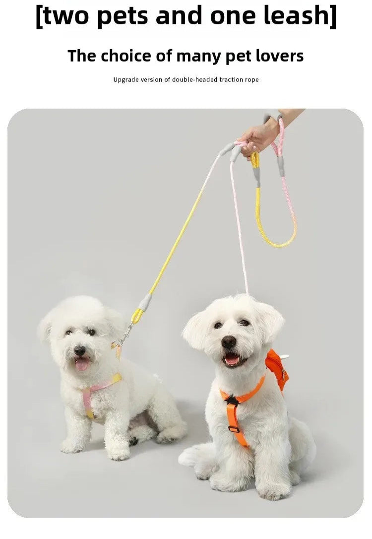 Ensemble complet de collier, harnais et laisse pour chien de qualité supérieure