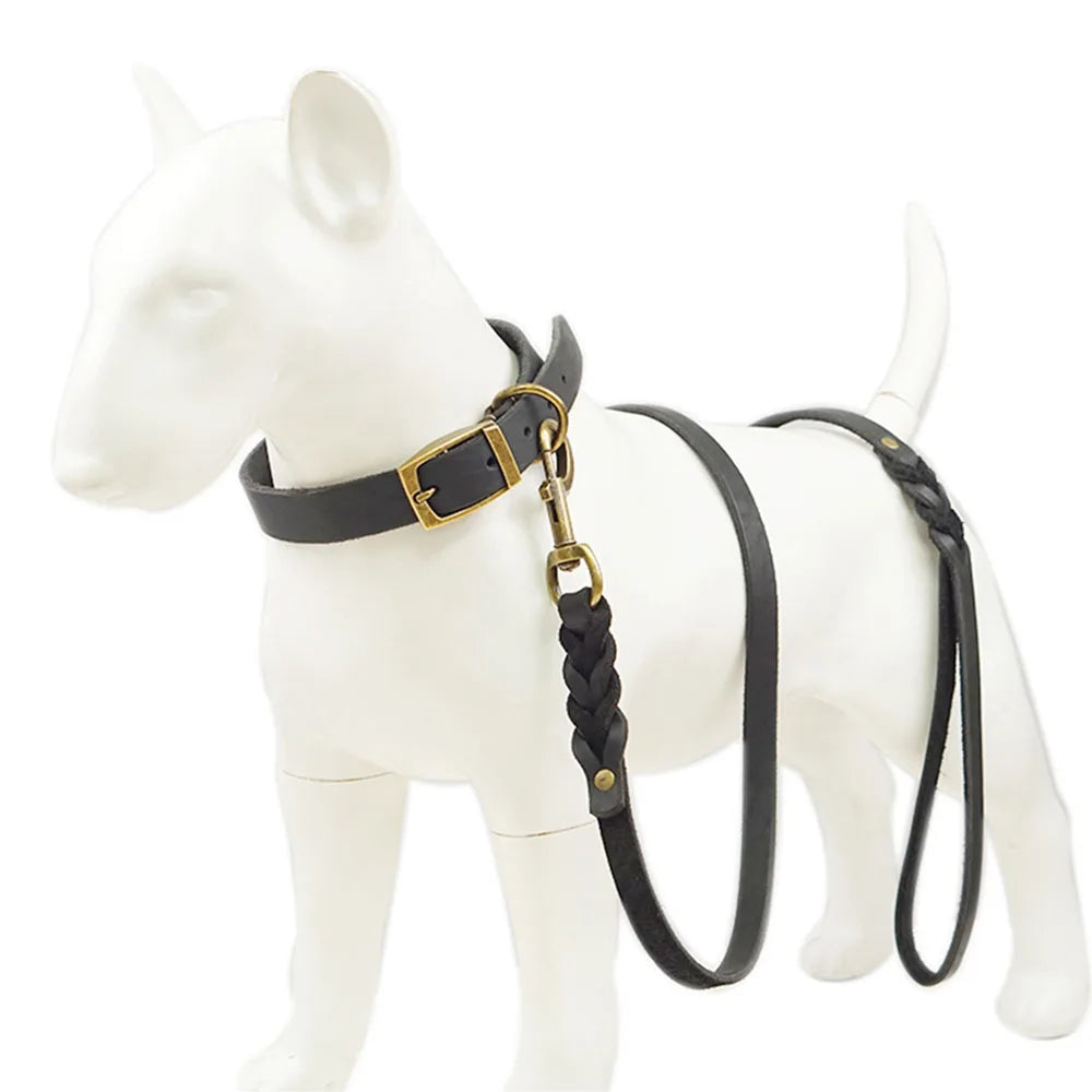 Soft Braided Real Leather Dog Lead – For Walking & Training Small, Medium & Large Dogs
