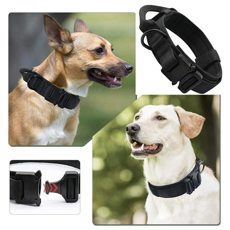 Durable Nylon Dog Collar & Leash Set for Large Dogs