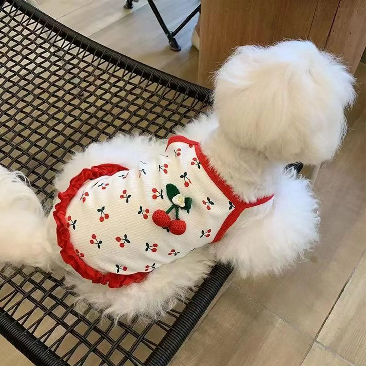 Breathable Summer Vest for Small Dogs & Cats
