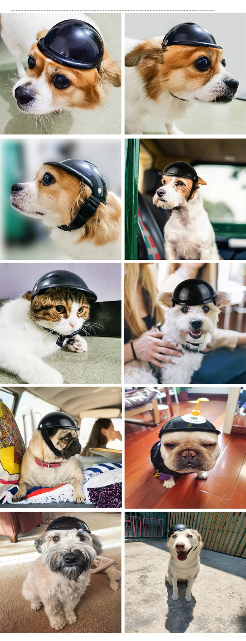 Novelty Riding Helmet Hat for Dogs & Cats