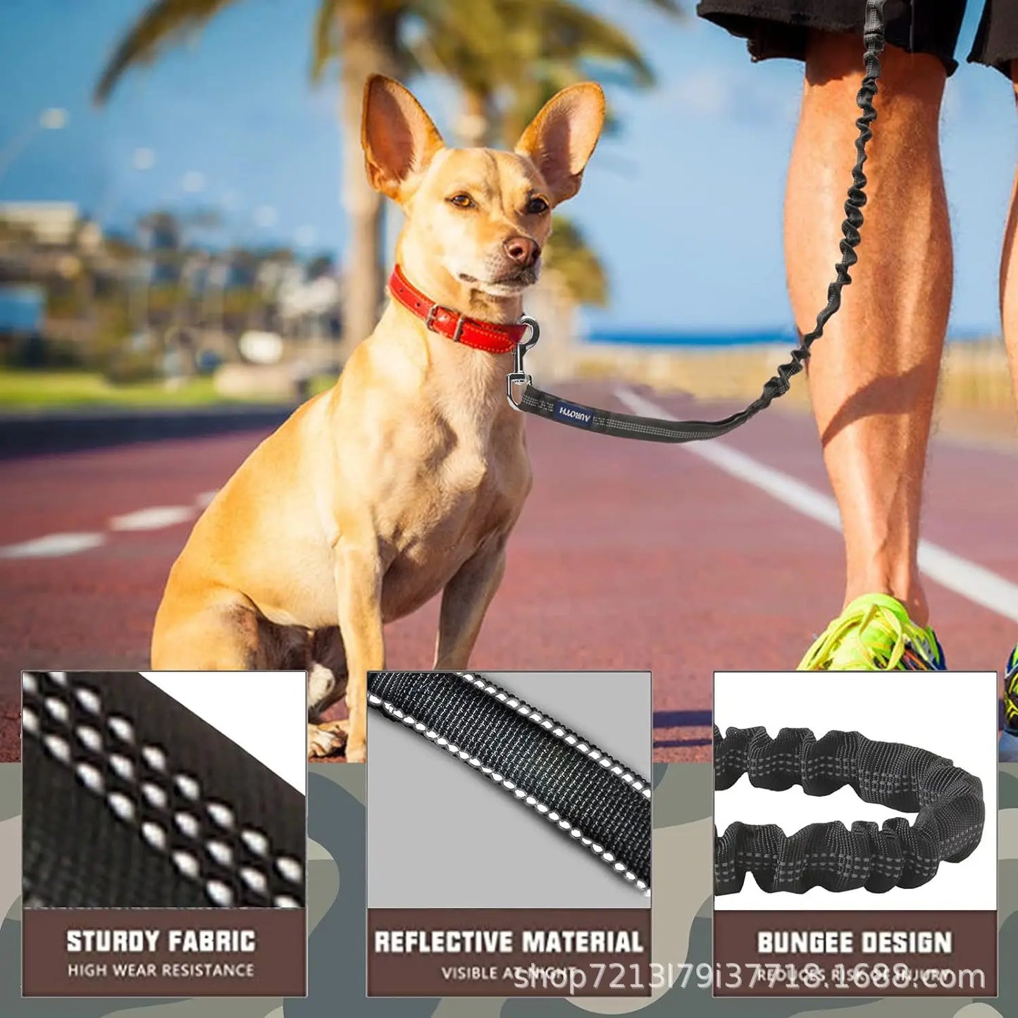 Laisse de dressage élastique antichoc pour chien