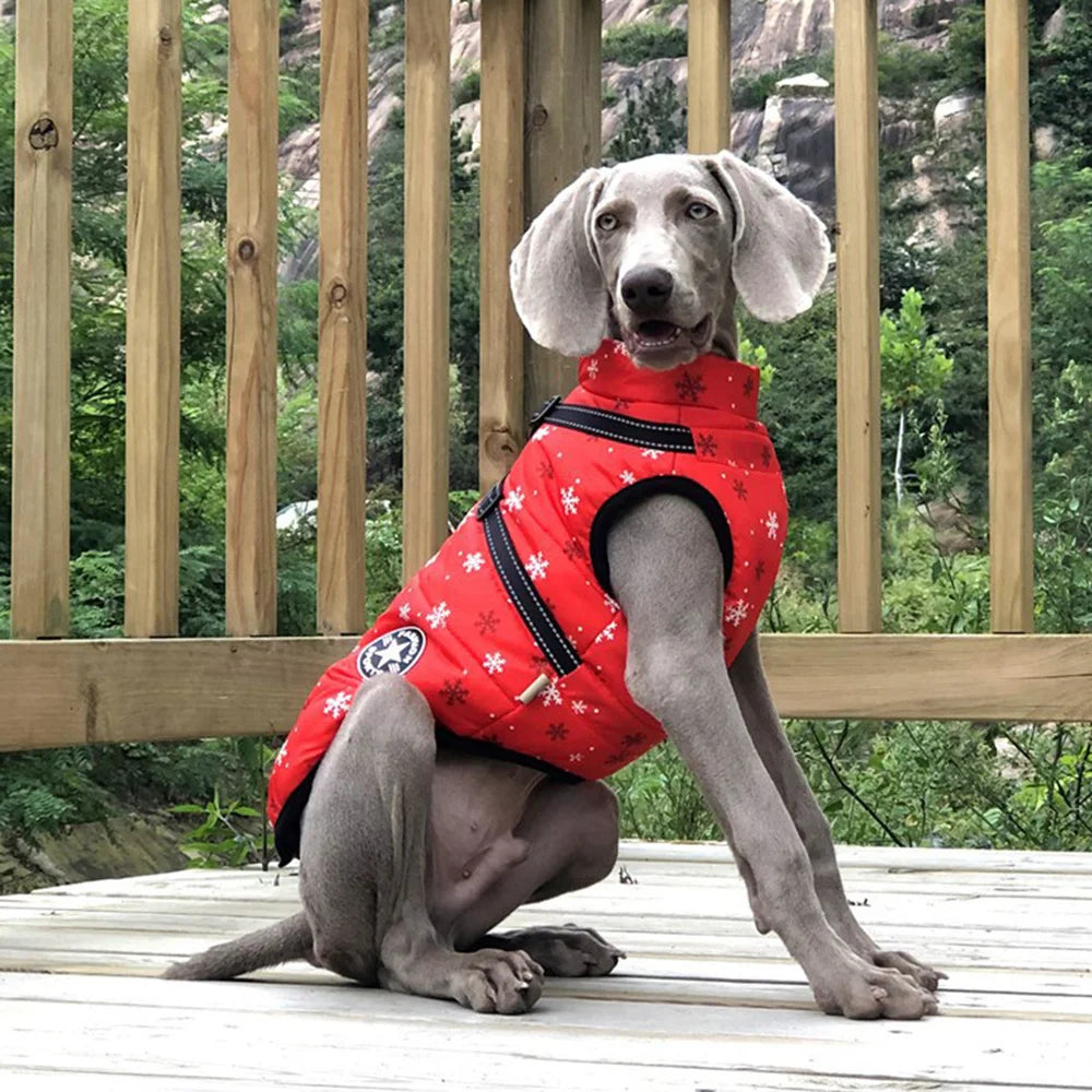Reflective Fleece Dog Jacket with Integrated Harness