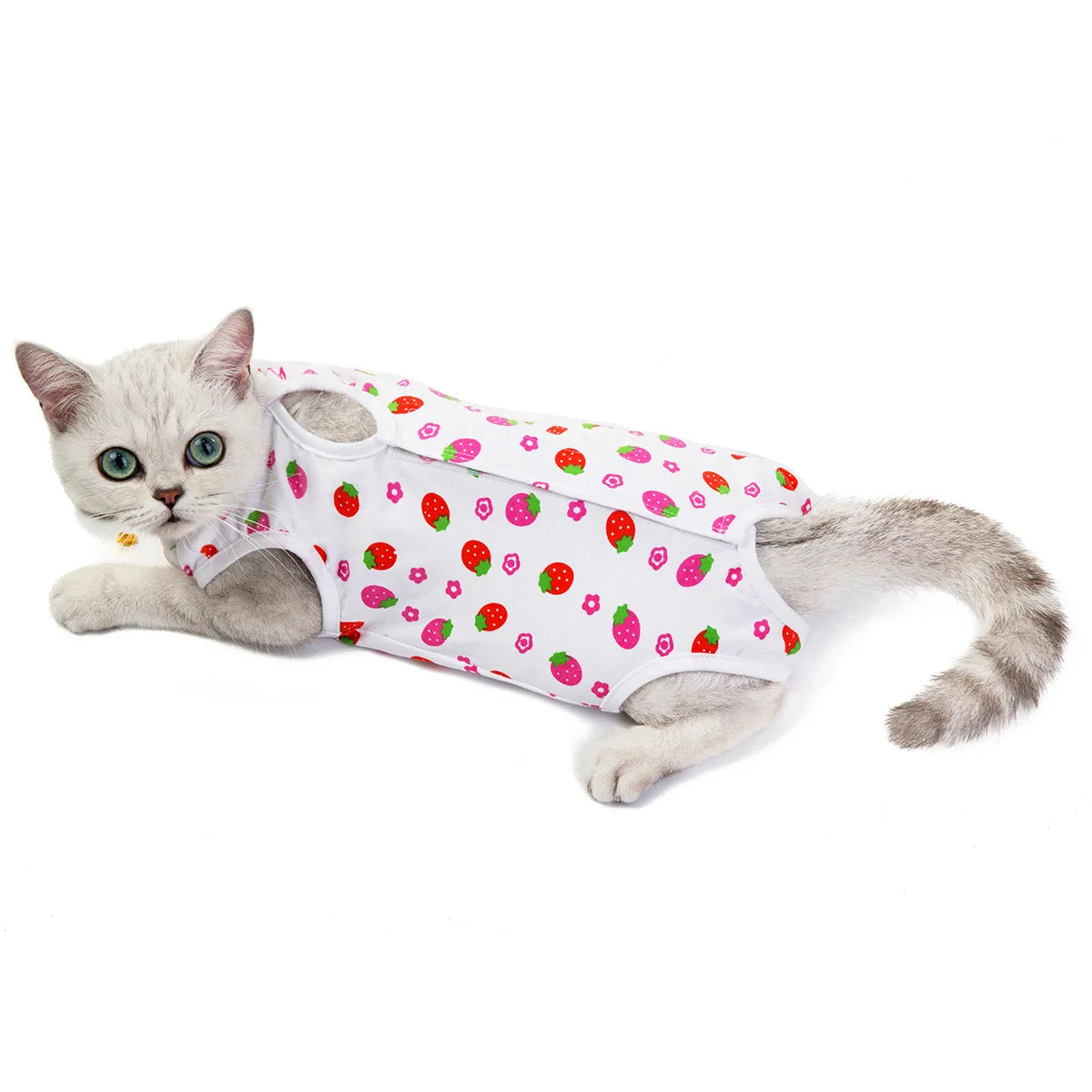 Combinaison de récupération post-opératoire pour chats et petits chiens