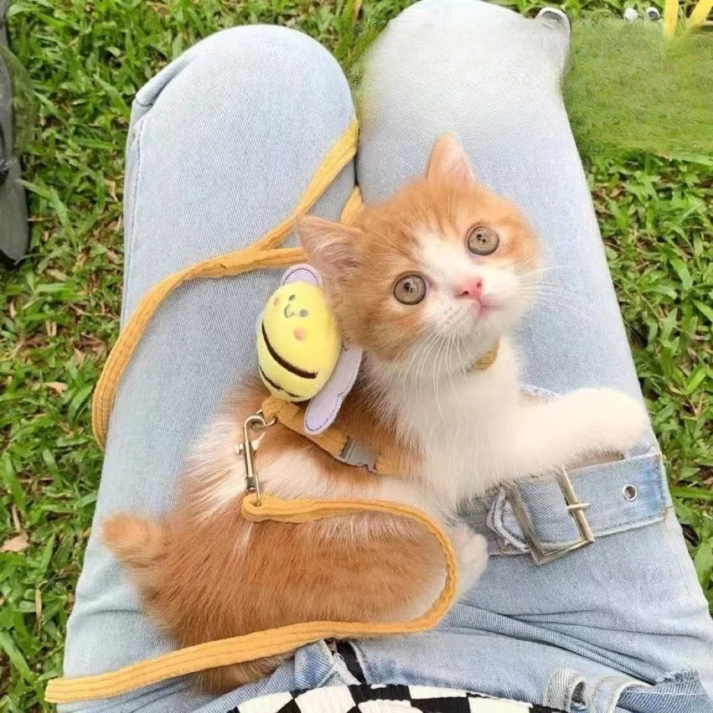 Ensemble Harnais et Laisse Réglables et Respirants pour Chats et Petits Chiens