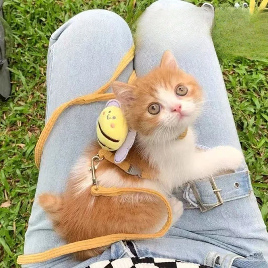 Ensemble Harnais et Laisse Réglables et Respirants pour Chats et Petits Chiens