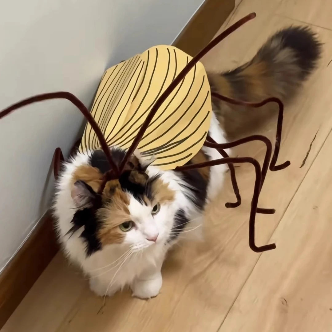 Pet Halloween Hair Accessories DIY Kit