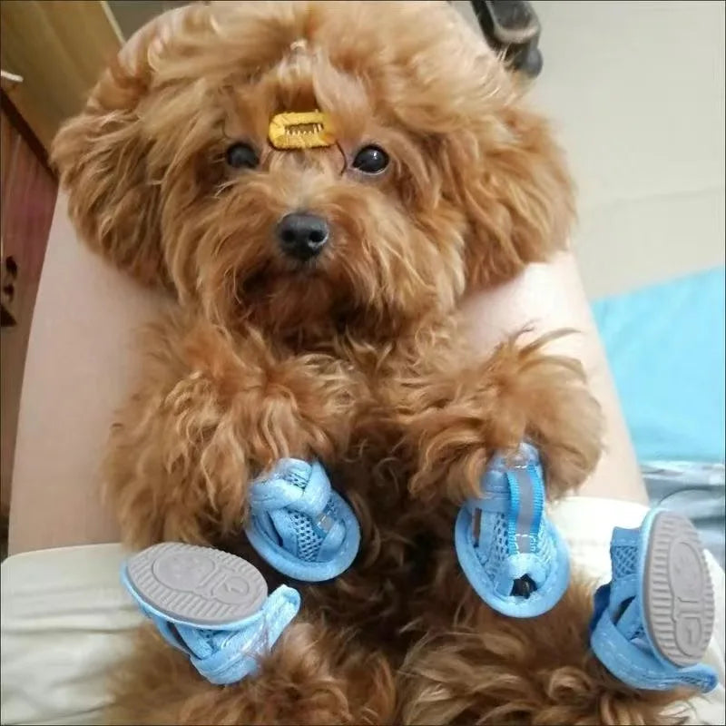 Mesh Sandal Shoes for Small Dogs & Cats — Set of 4