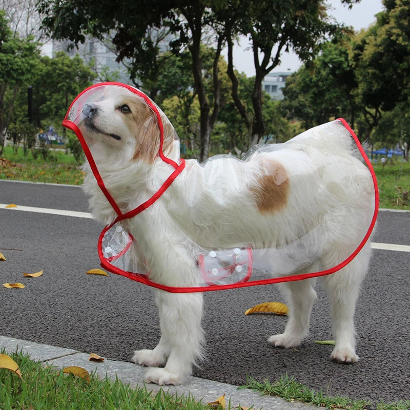 Transparent Waterproof Raincoat for Small & Medium Dogs