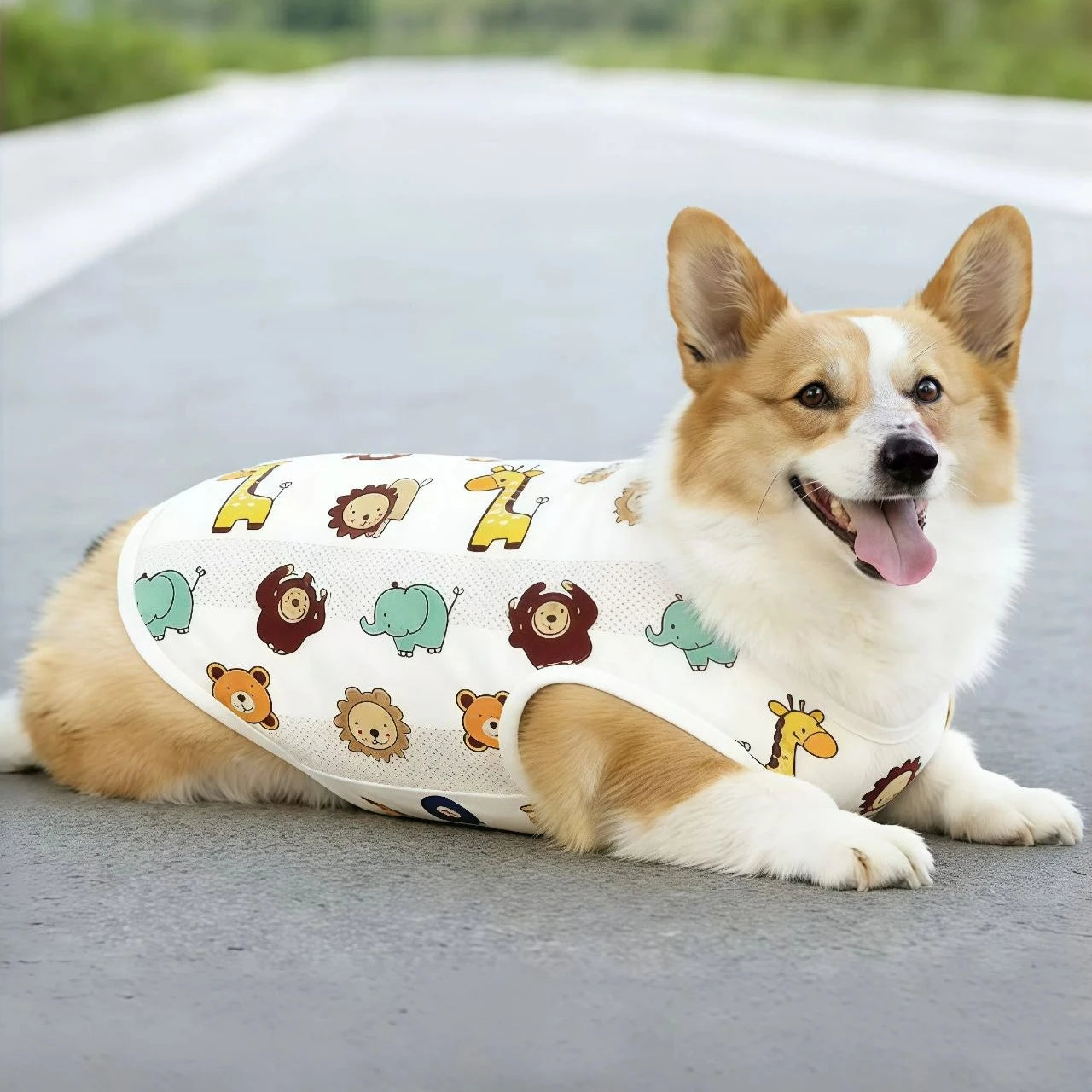 Breathable Mesh Cooling Vest for Dogs