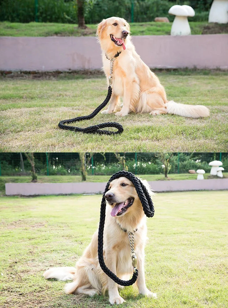 Laisse tressée de 1,5 m pour chien - Laisse d'entraînement durable pour des promenades confortables
